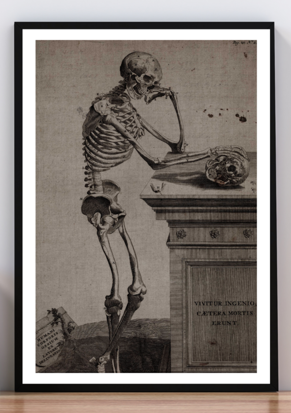 Cuadro esqueleto contemplando un cráneo. Andrés Vesalio.