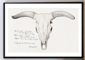 Cuadro arte y ciencia. Anatomía de un buey. Lundbye 1842