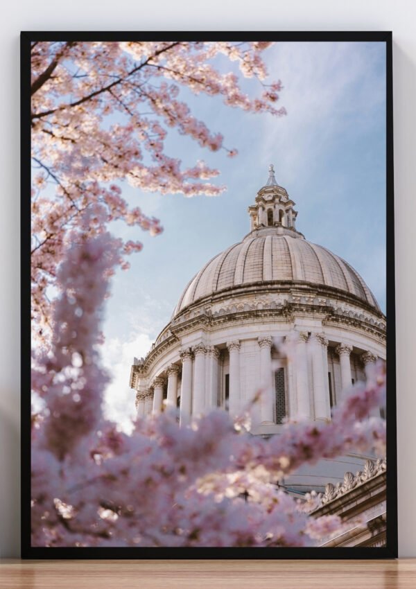 cuadro arquitectura cupula