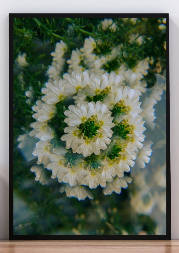 Cuadro foto distorsionada de flores blancas