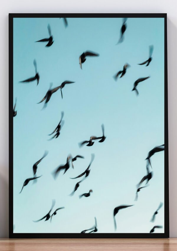 Cuadro foto de aves volando
