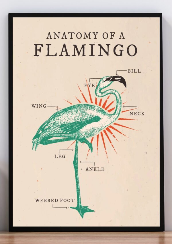 Cuadro anatomy flamenco