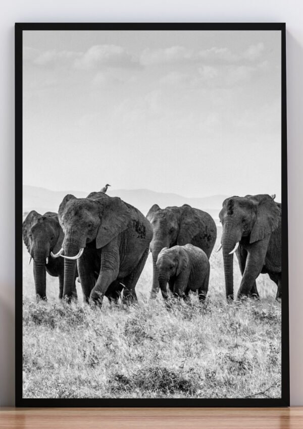 Cuadro elefantes