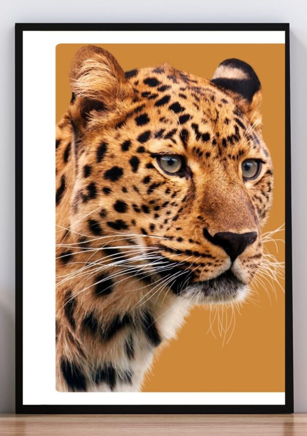 Cuadro leopardo
