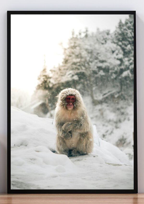Cuadro mono y nieve