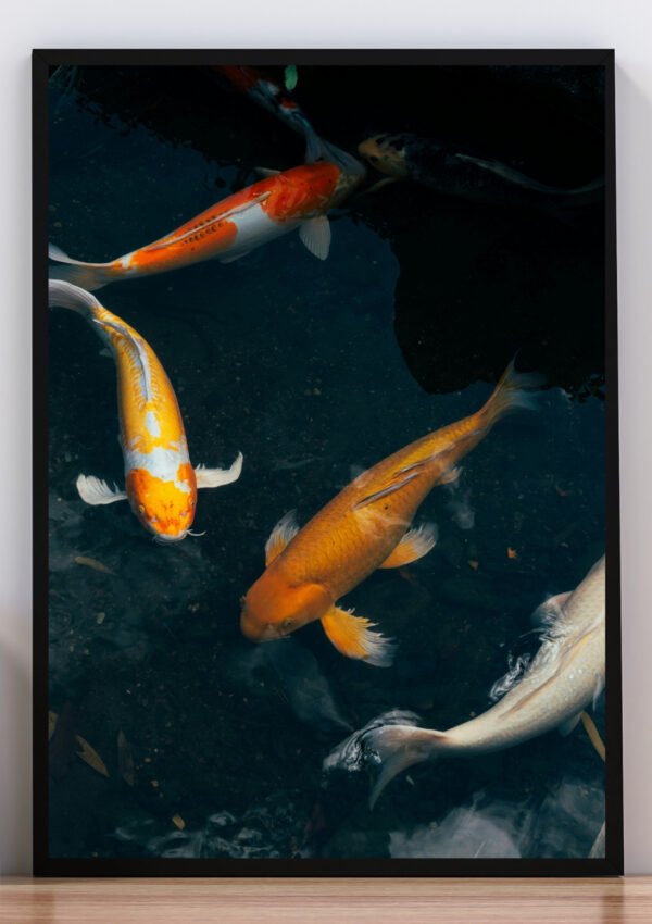 Cuadro foto peces