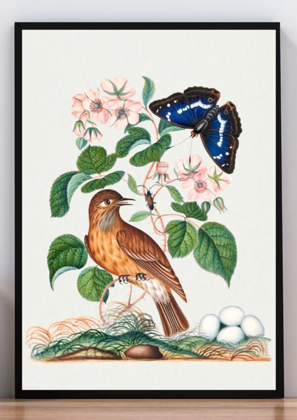 Cuadro Ilustración ave y mariposa