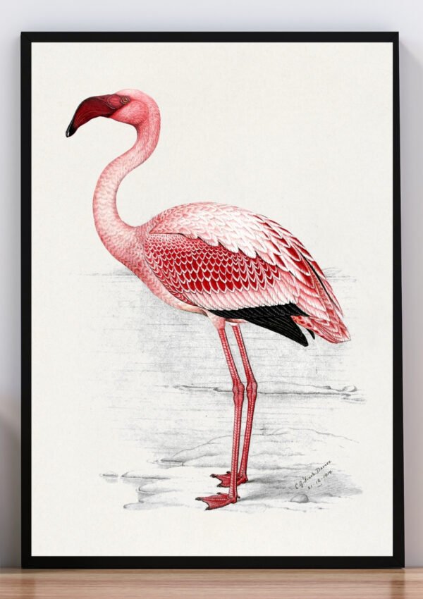 Cuadro dibujo de flamenco