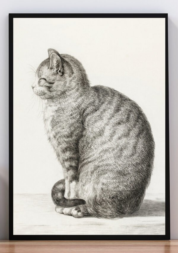 Cuadro dibujo gato