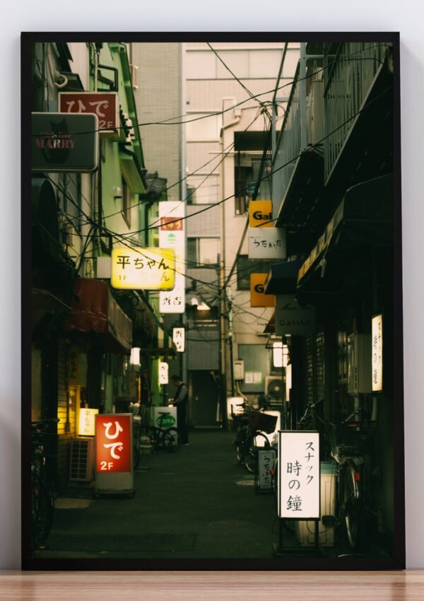 Cuadro foto callejón de Japón