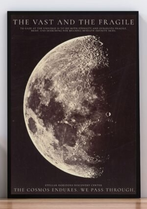 Cuadro the vast and the fragile