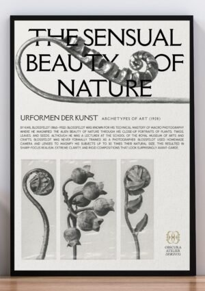 Cuadro poster archetypes of art