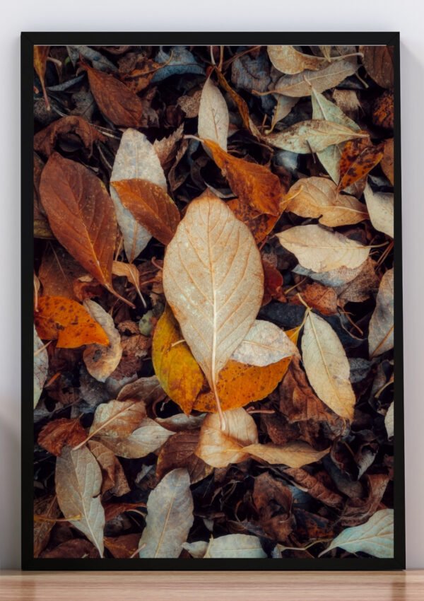 Cuadro hojas otoñales