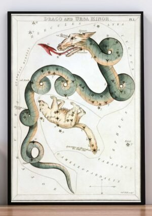 Cuadro Dragon espiritual