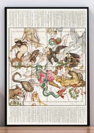 Cuadro Animales Espirituales
