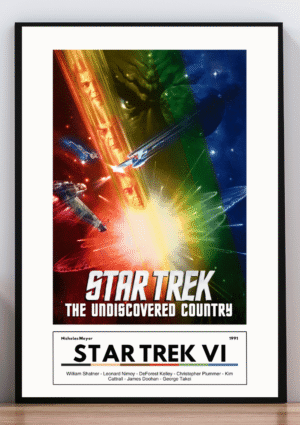 Cuadro Star Trek VI
