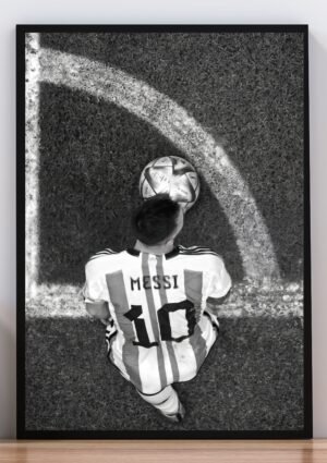 Cuadro Messi Selección